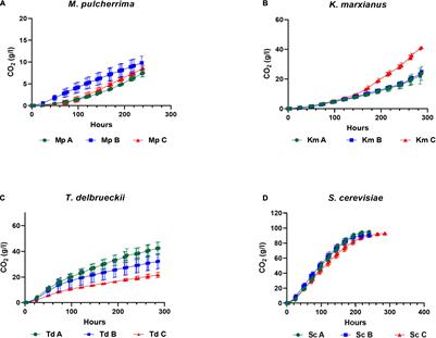 Species-Dependent Metabolic Response to Lipid Mixtures in Wine Yeasts